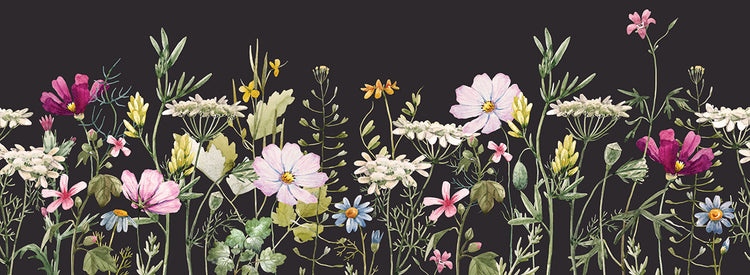 Lienzo de flores silvestres de terciopelo negro