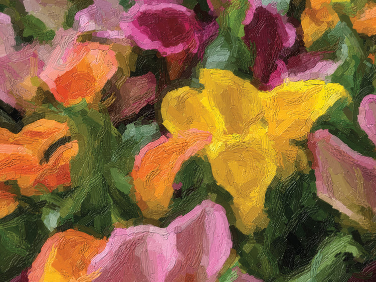 Colorful Dutch Callas