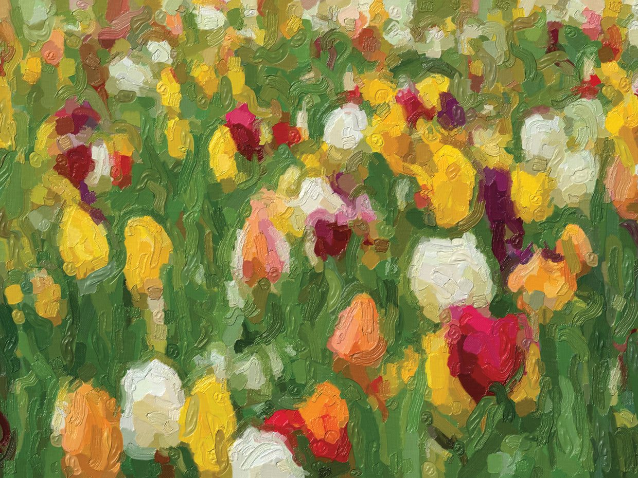 Tulips in Rainbow Rows
