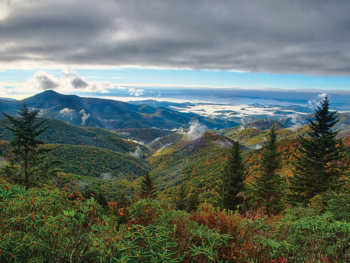 Blue Ridge Peaceful Parkway