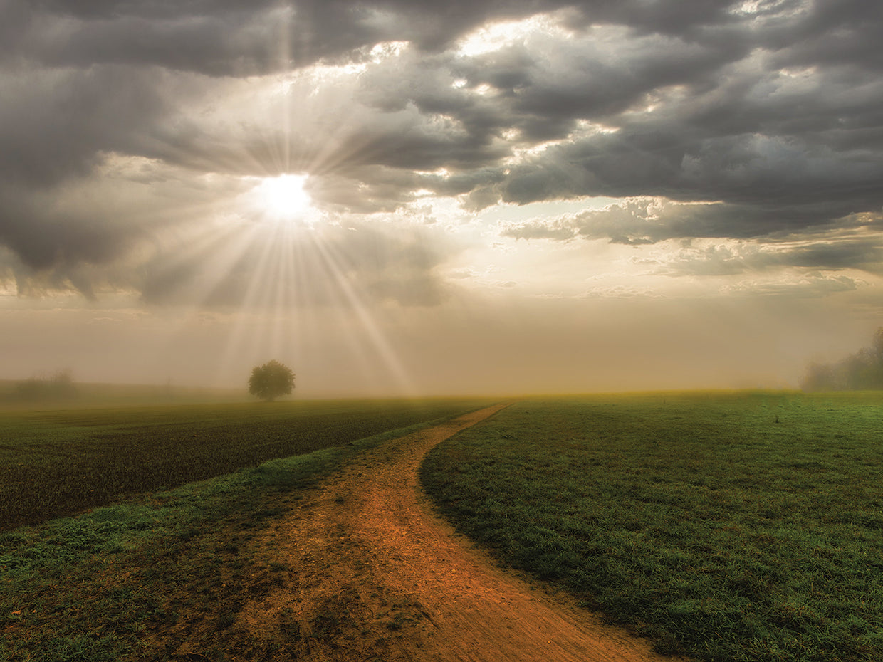 Foggy Path to Dawn