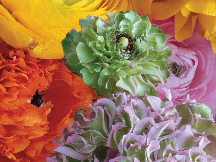 Arte de lienzo de flores de ramo de color caramelo
