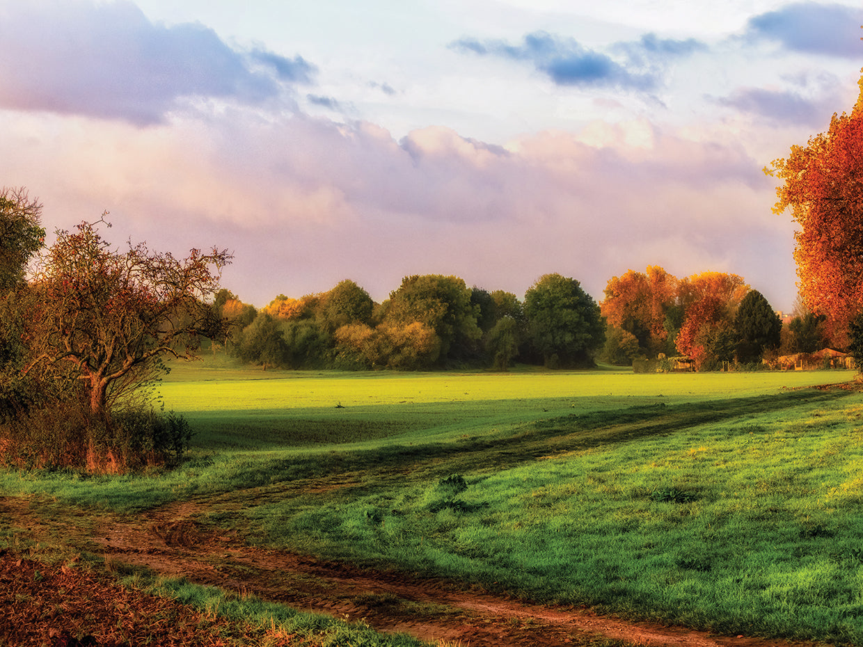 Autumn Country Crisp Morning