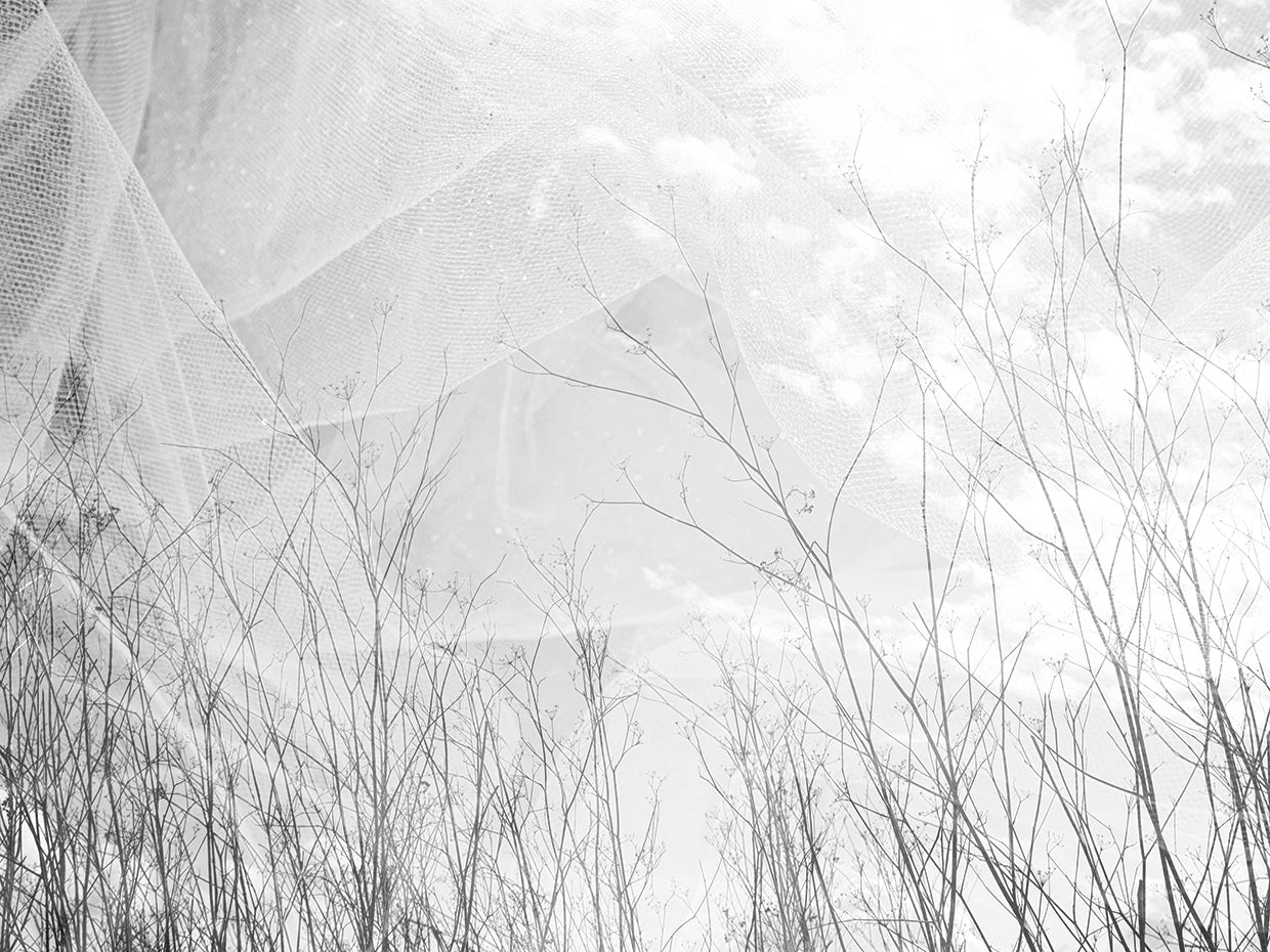 Branched with Beauty