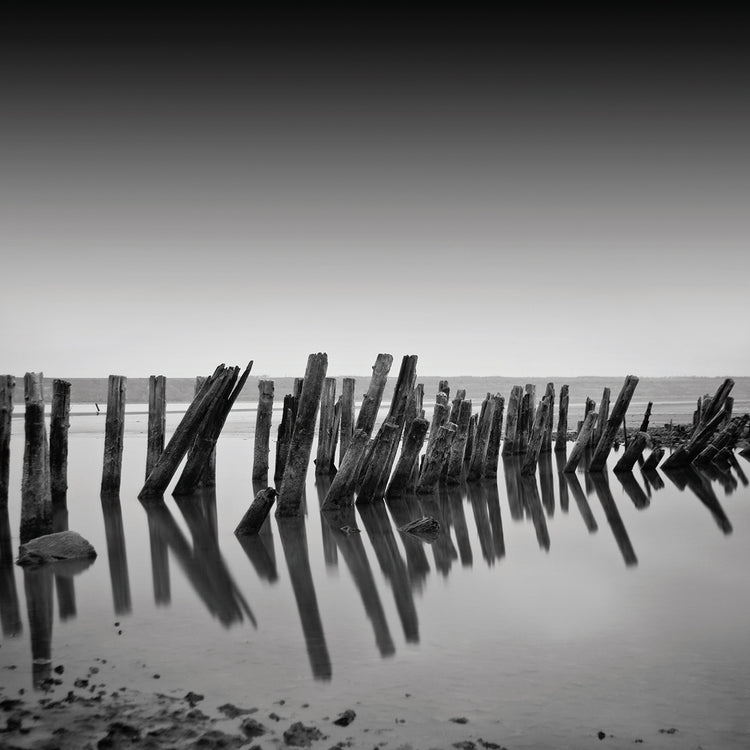 Arte de la lona de los diseños grises oscuros del mar muerto