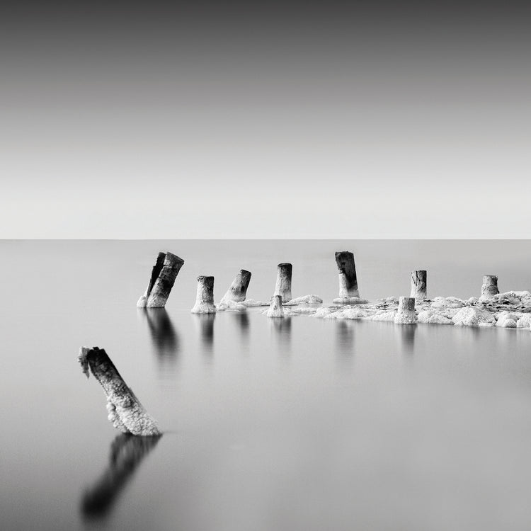 Arte de la lona de los bailarines diurnos del mar muerto