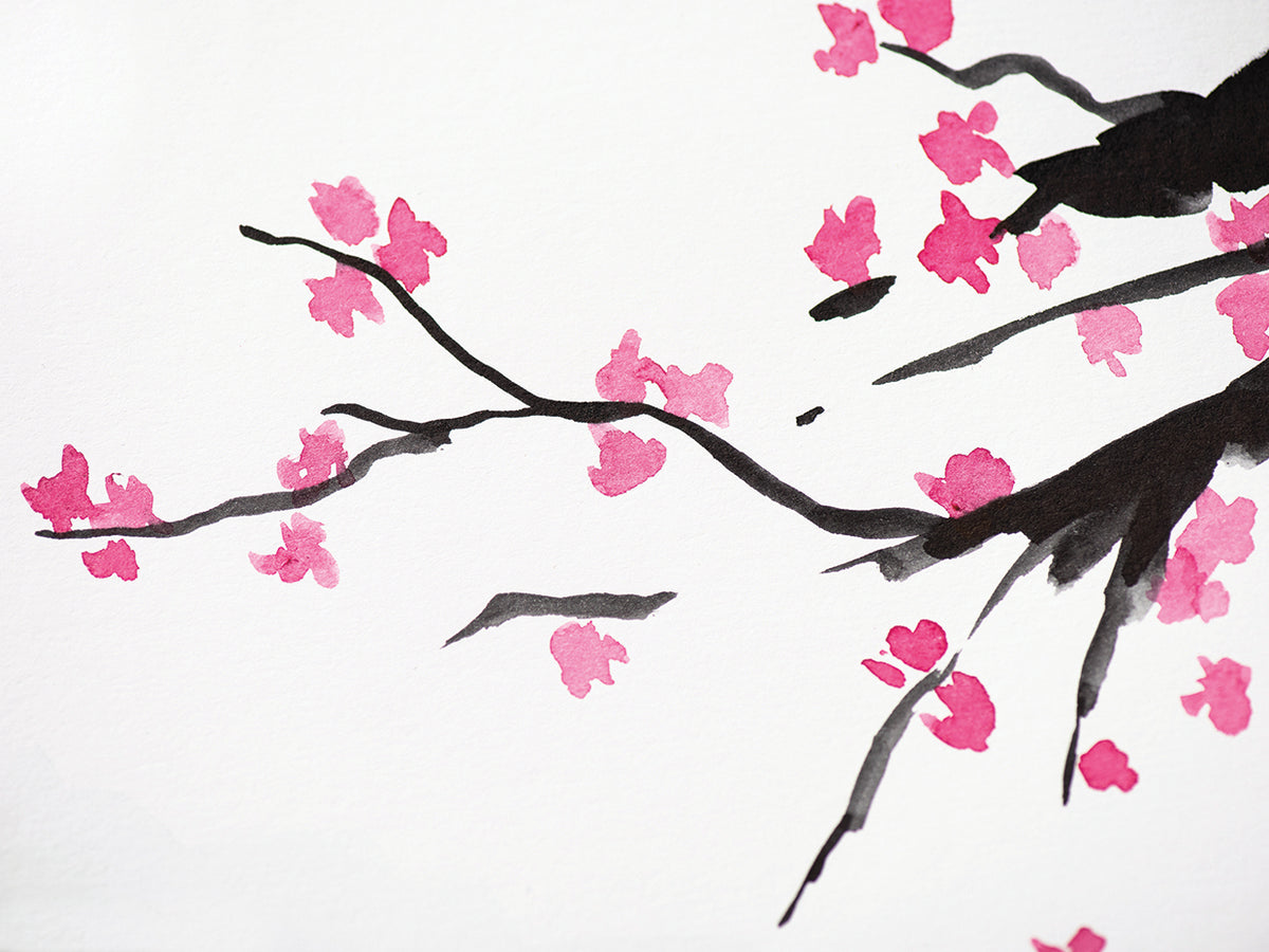 Symbolic Sakura Cherry Blossoms