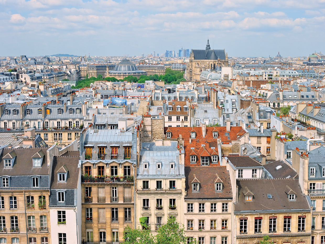 Panoramic Paris Rooftops
