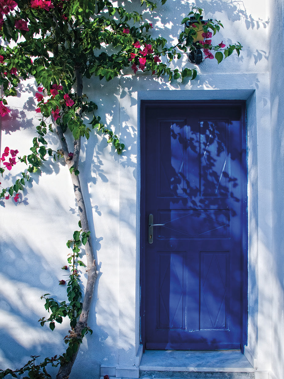 Arte de la lona de la puerta azul del jardín griego