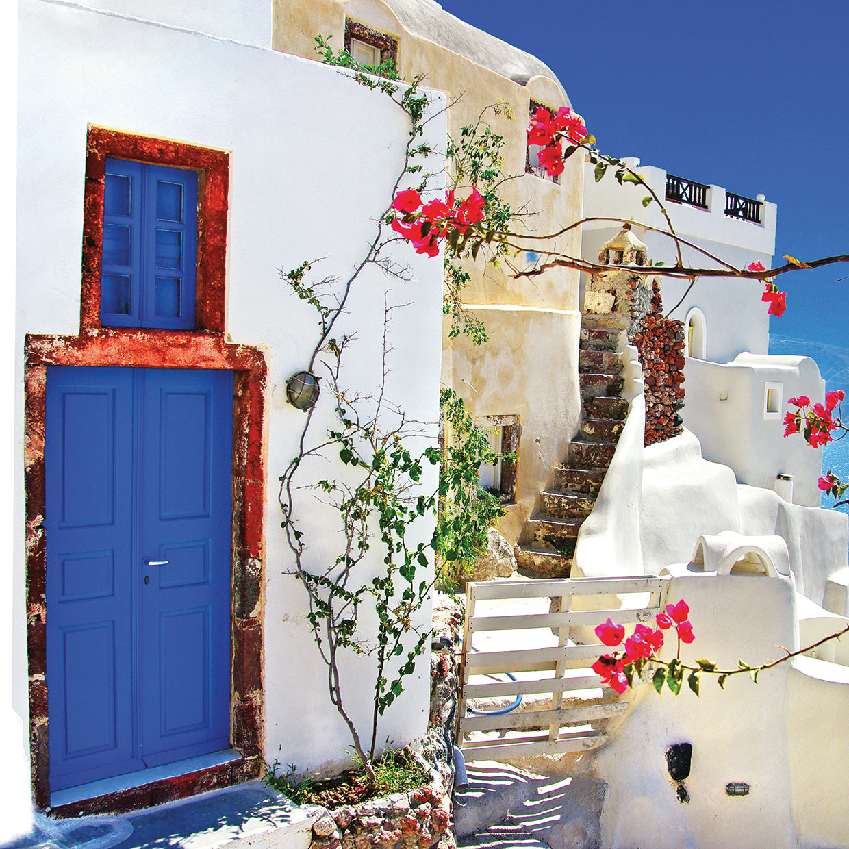 Hermosos azules y flores griegas en lienzo
