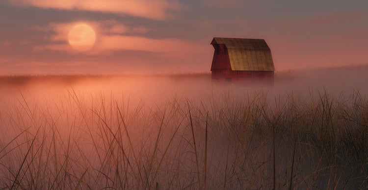 Misty Mauve Barn