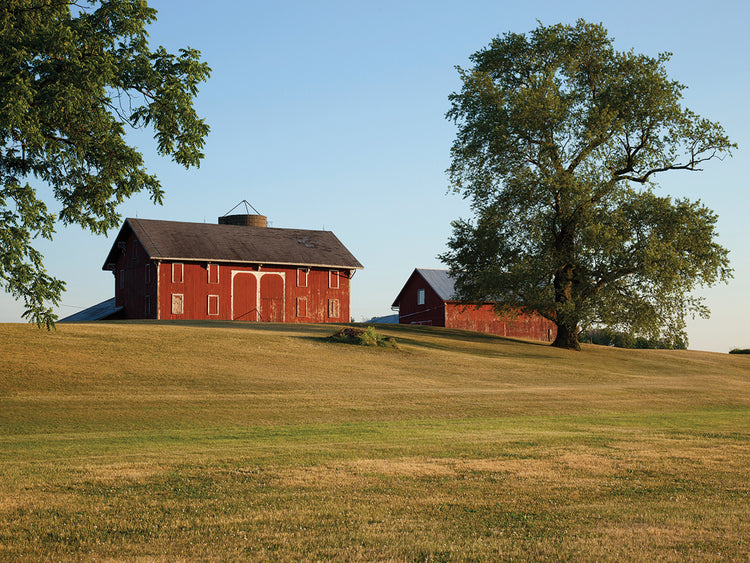 Arte de la lona de la granja del granero rojo de Ohio PM