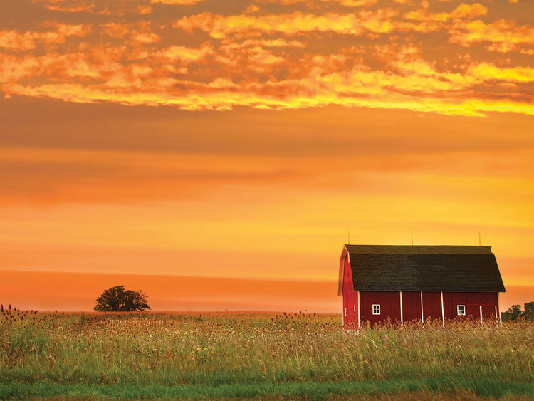 Red Gold Sunset Rustic Barn