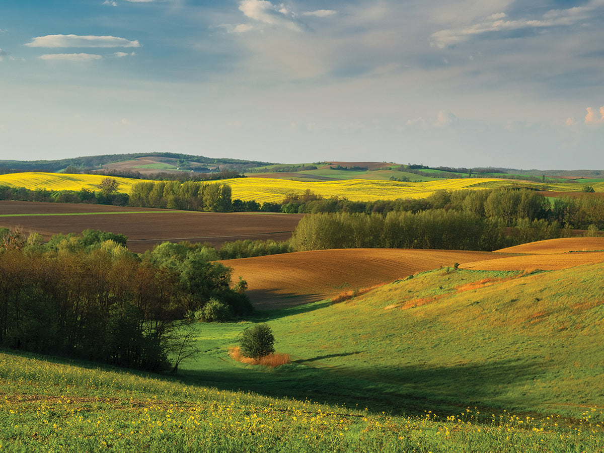 Quilted Countryside Colors