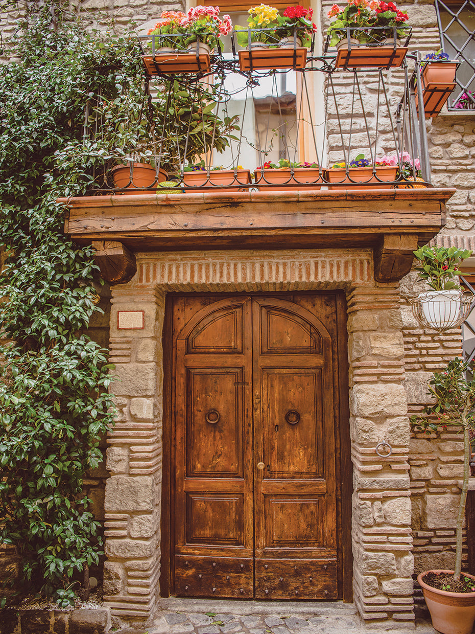 Arte de lienzo de puerta romana tallada