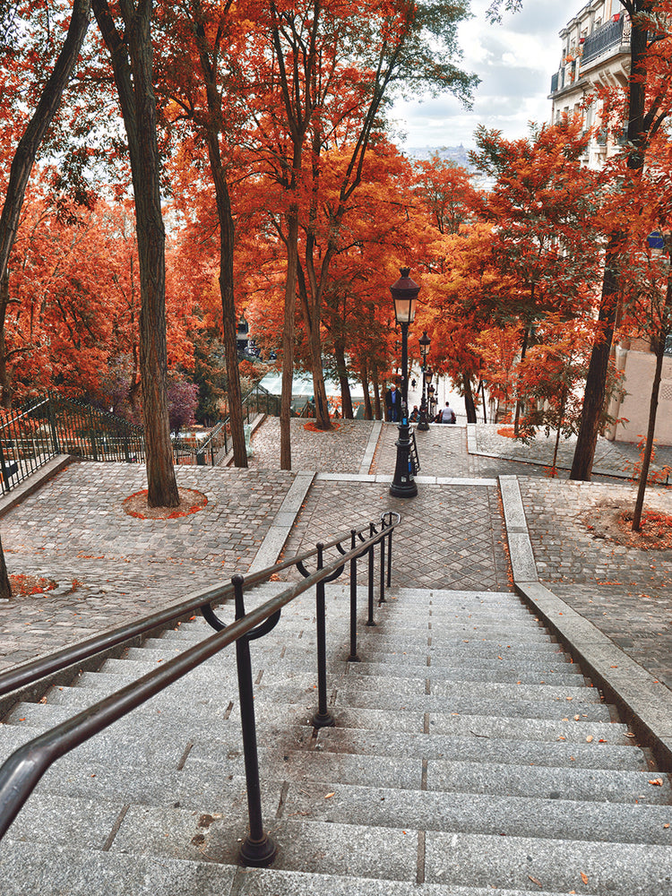 Bajar al otoño en París Cuadro en lienzo