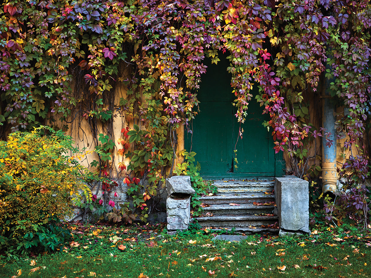 Autumn Vine Prisms