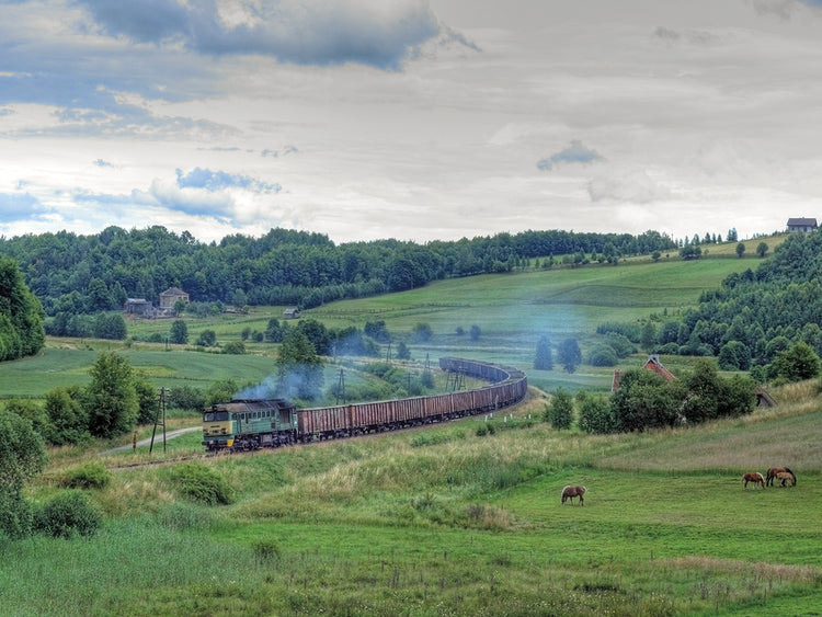 Countryside Train Trip