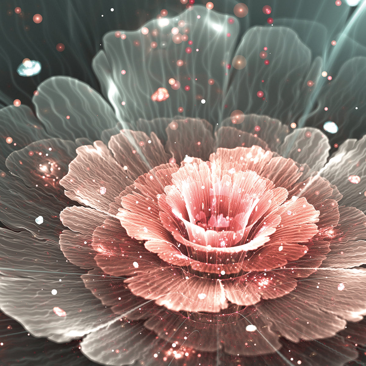Pink Sparkle Silver Petals