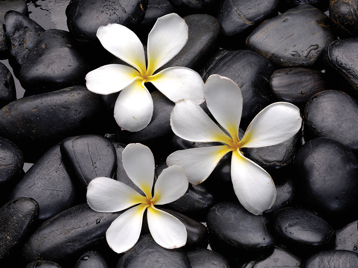 Bali Spa Blooms