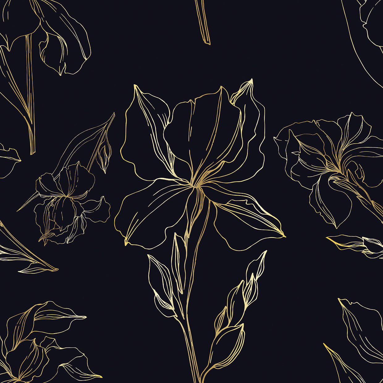 Iris salvaje grabado en lienzo negro