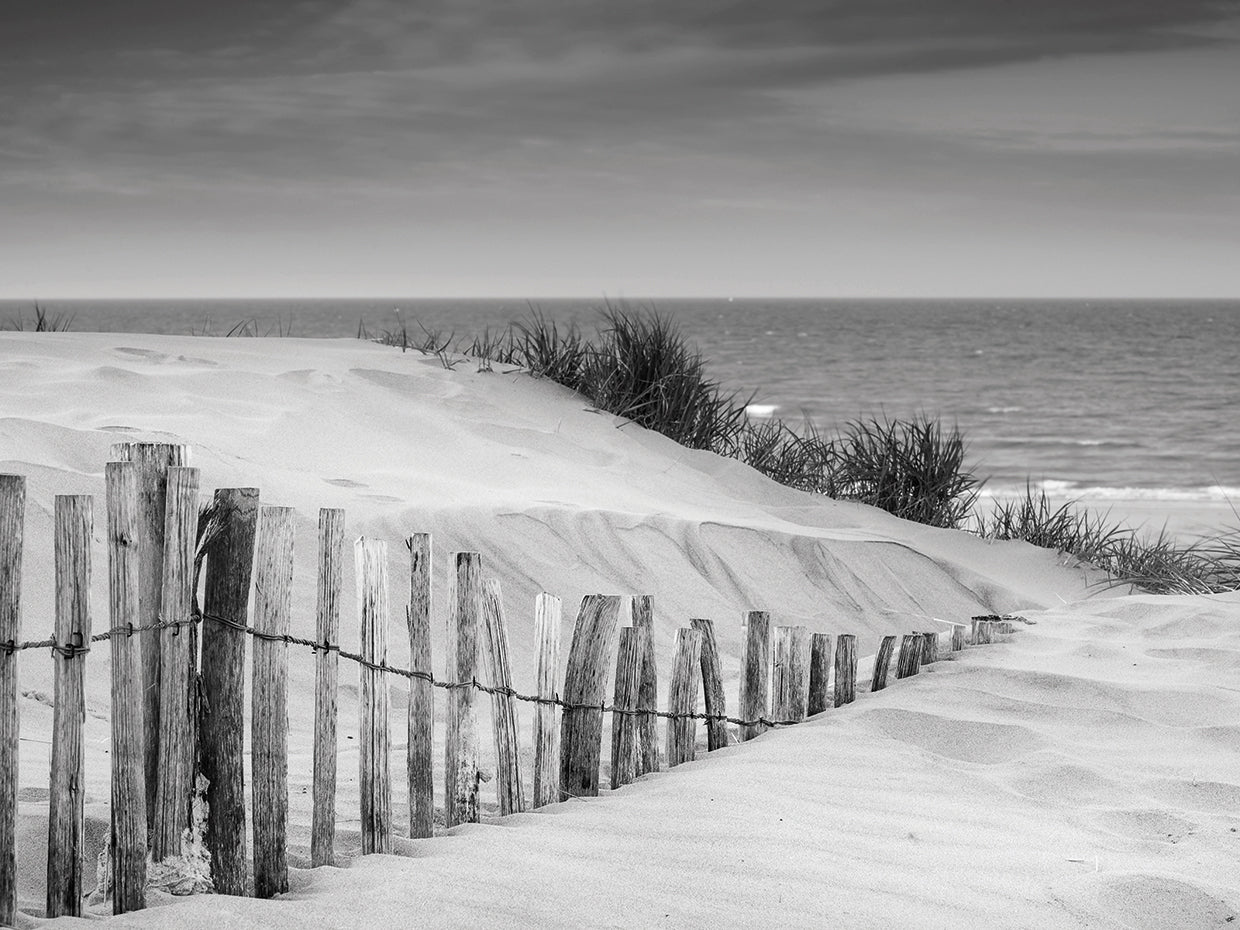 Lienzo de dunas de arena en blanco y negro suave