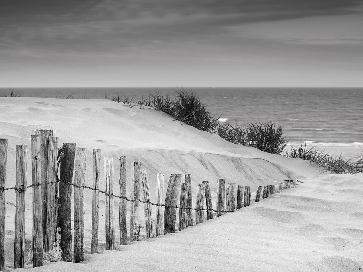 Soft Black and White Sand Dunes