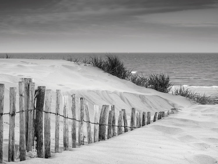 Lienzo de dunas de arena en blanco y negro suave