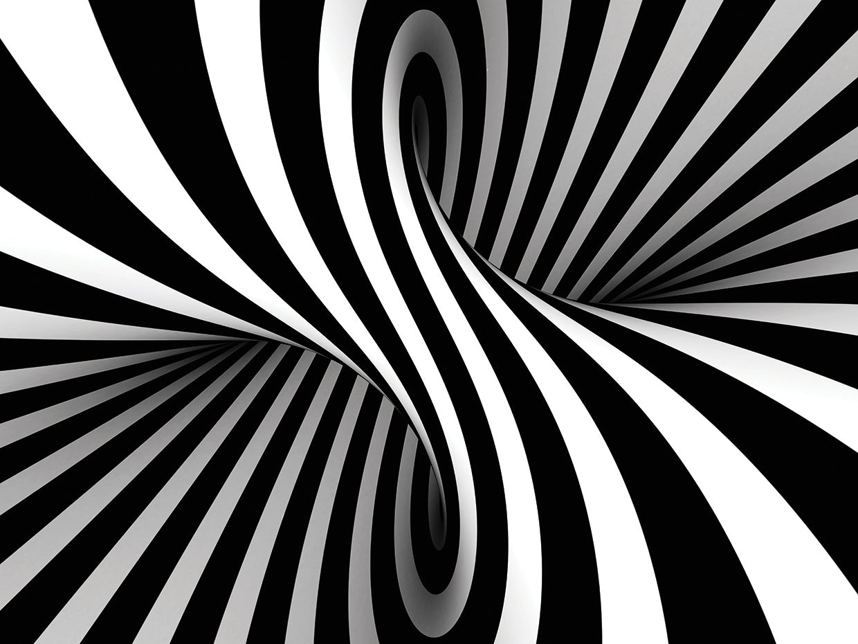 Black and White Peppermint Twist by DP Gallery | FineArtCanvas.com ...