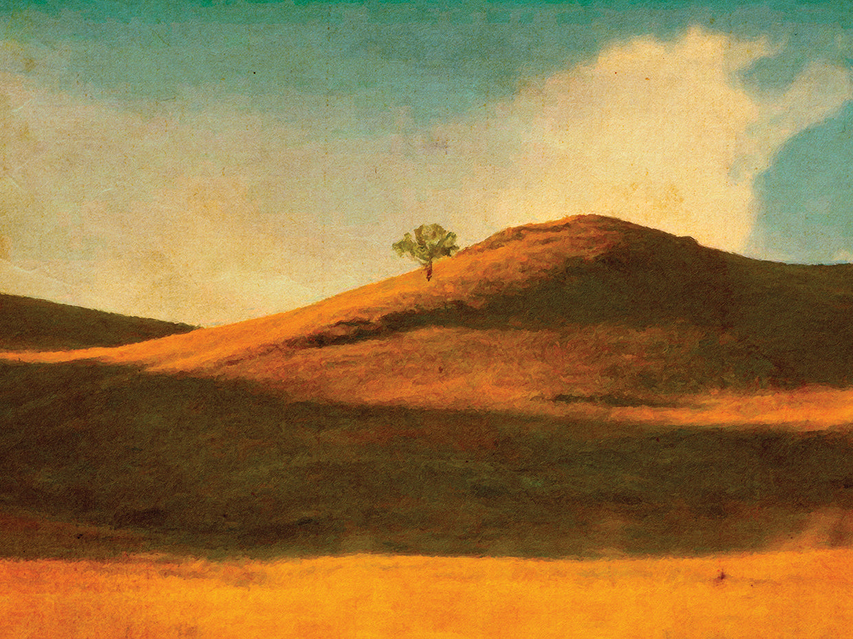 Shadows Falling over the Golden Hill