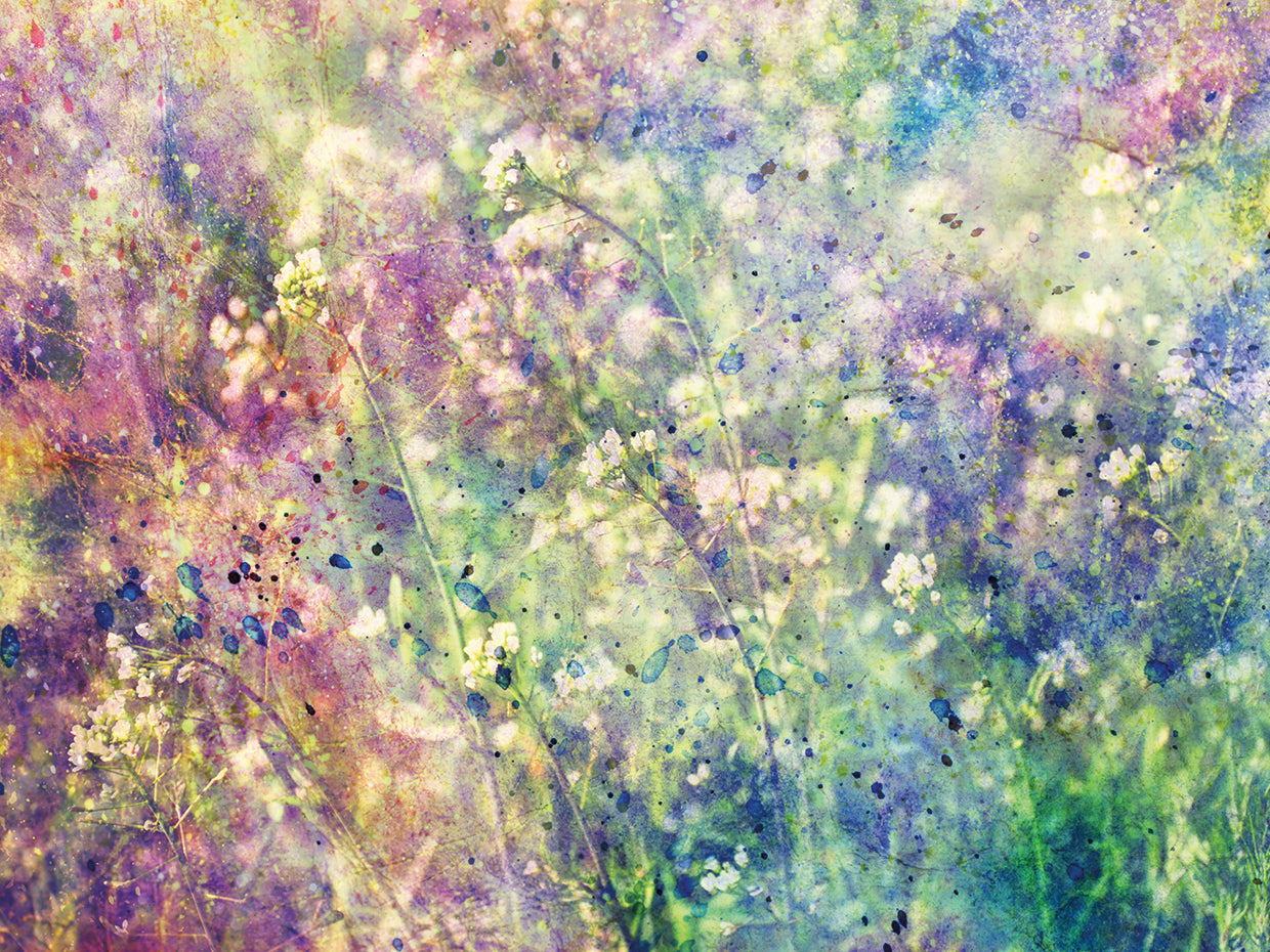 Sundance Wildflowers