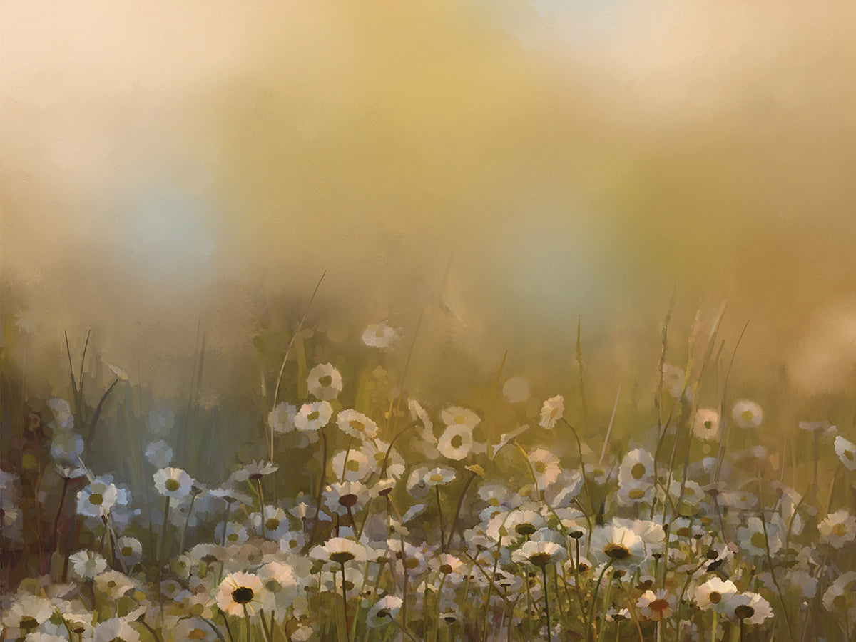 Daydreams in the Meadow