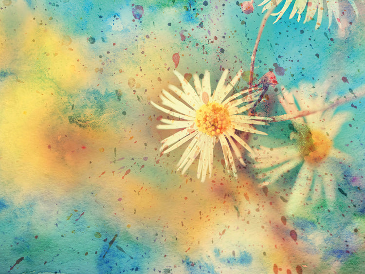 Fresh Daisy Gold Dust