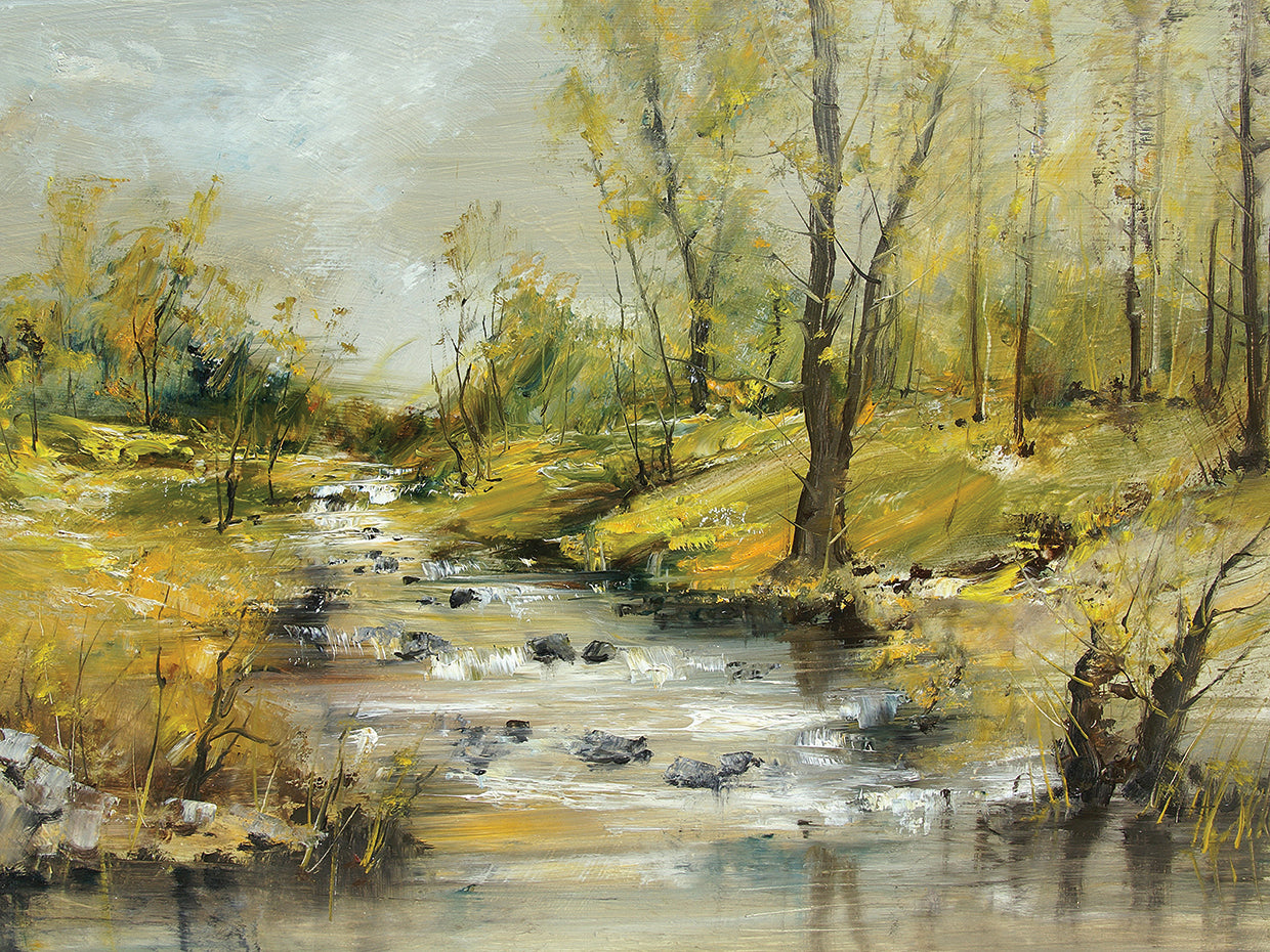 Stepping Stone Brook