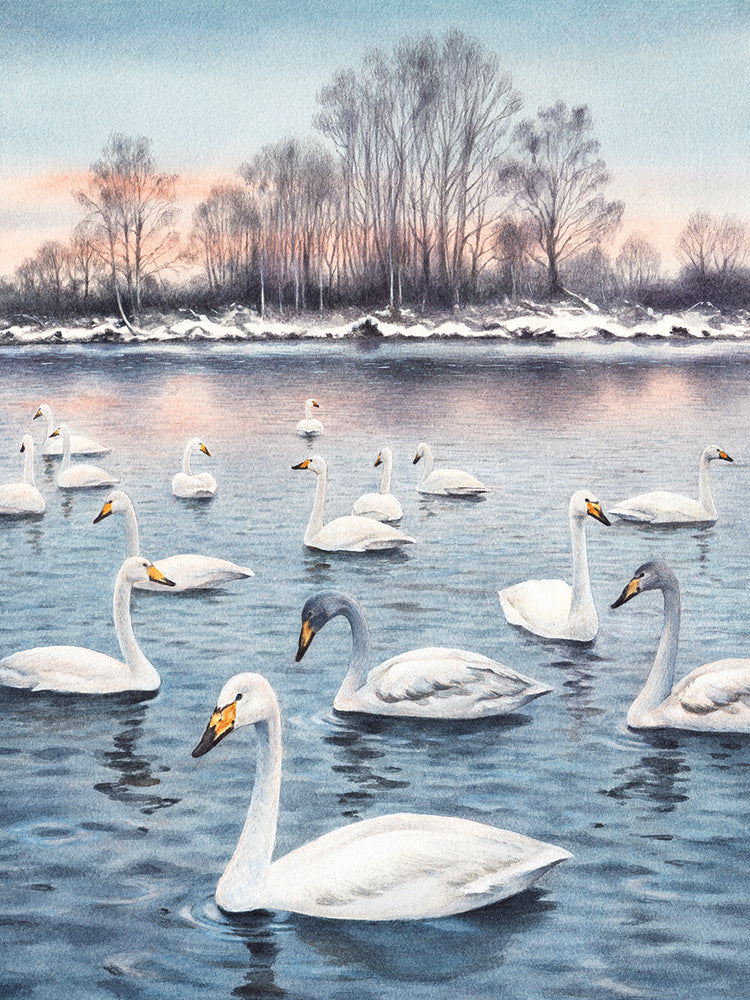Arte de la lona de la reunión de invierno del lago de los cisnes
