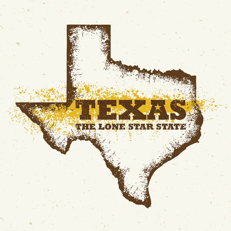 Arte de la lona del estado de la estrella solitaria de Texas