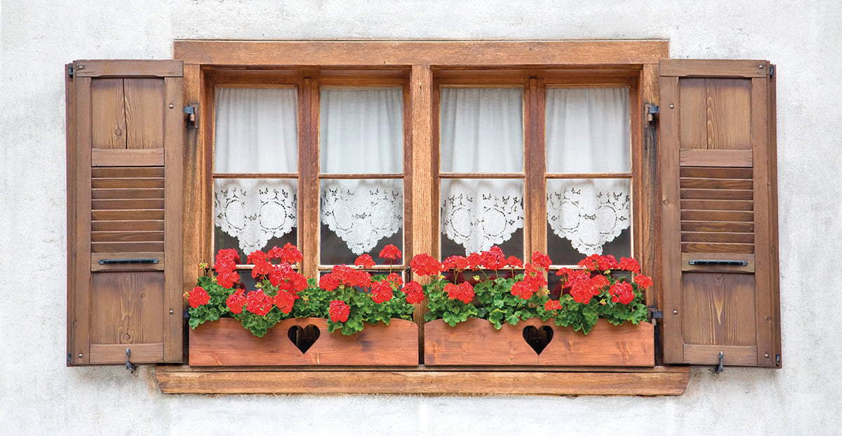 Geraniums and Old Lace