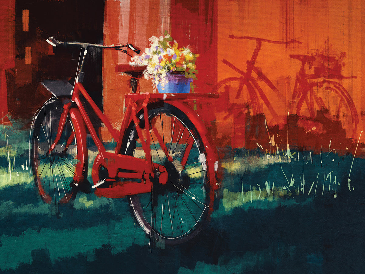 Bike Shadows and Bouquet