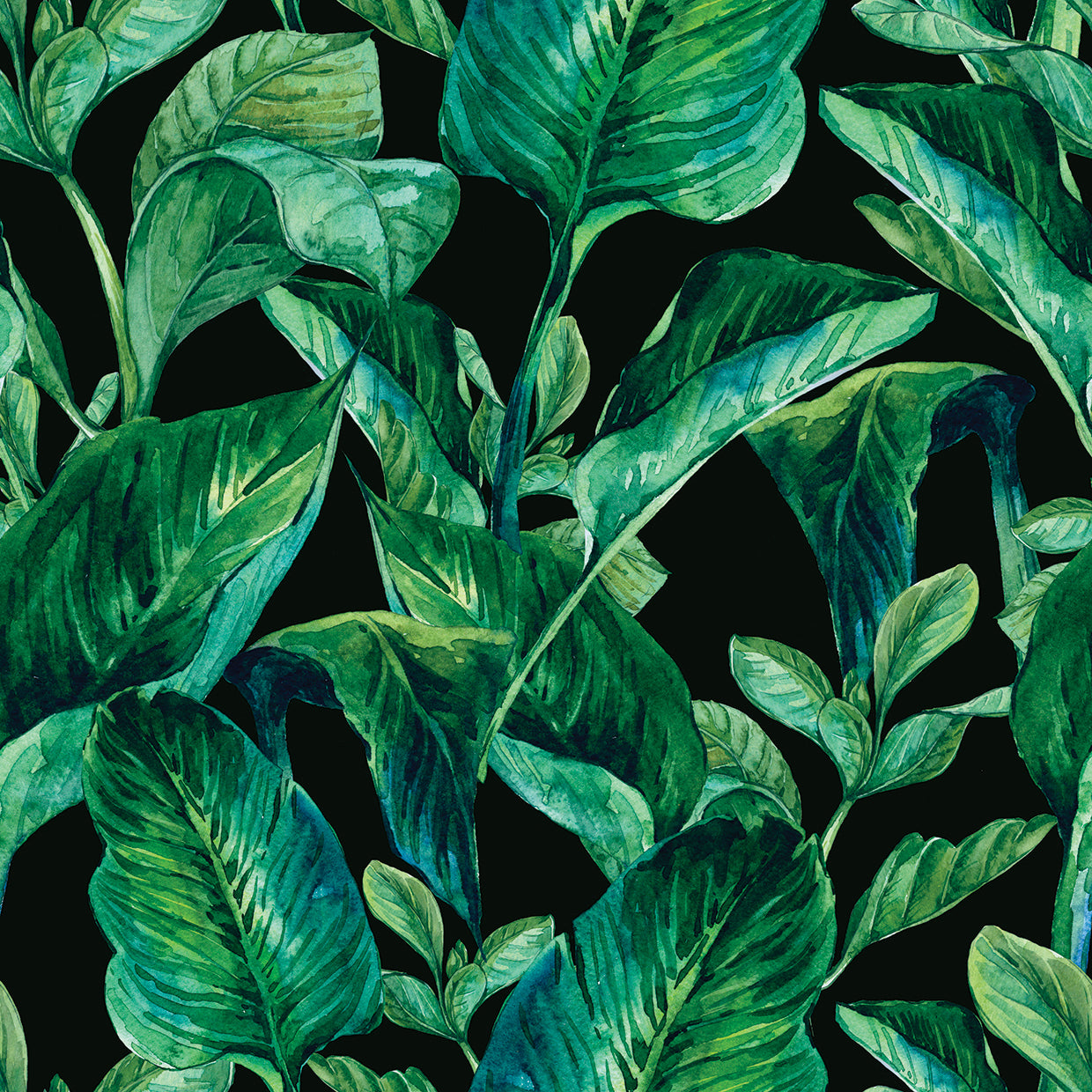 Arte de la lona del limbo de la hoja tropical