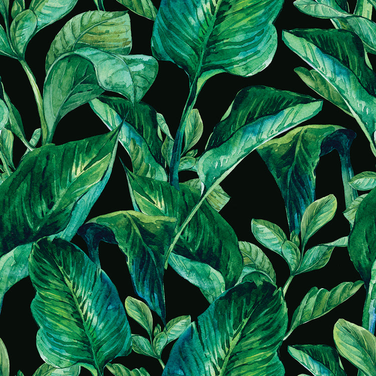 Arte de la lona del limbo de la hoja tropical