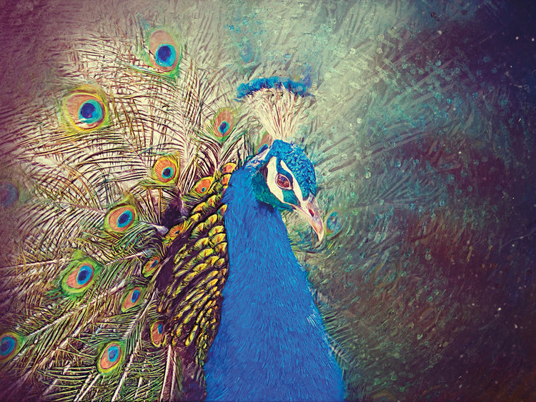 Bejeweled Peacock Portrait