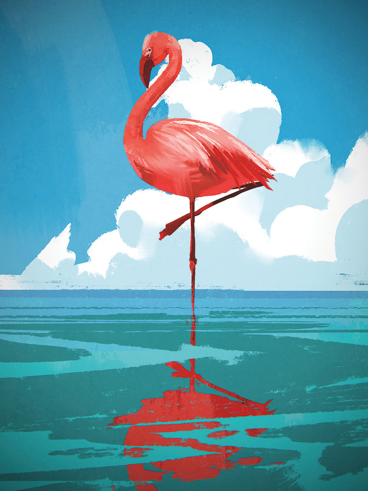 Arte de la lona del flamenco solo llamativo