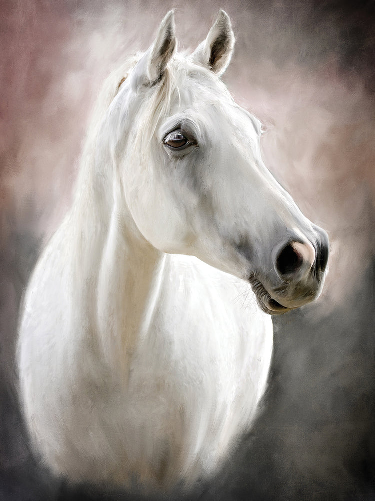 Arte de la lona de Moonstone Mare