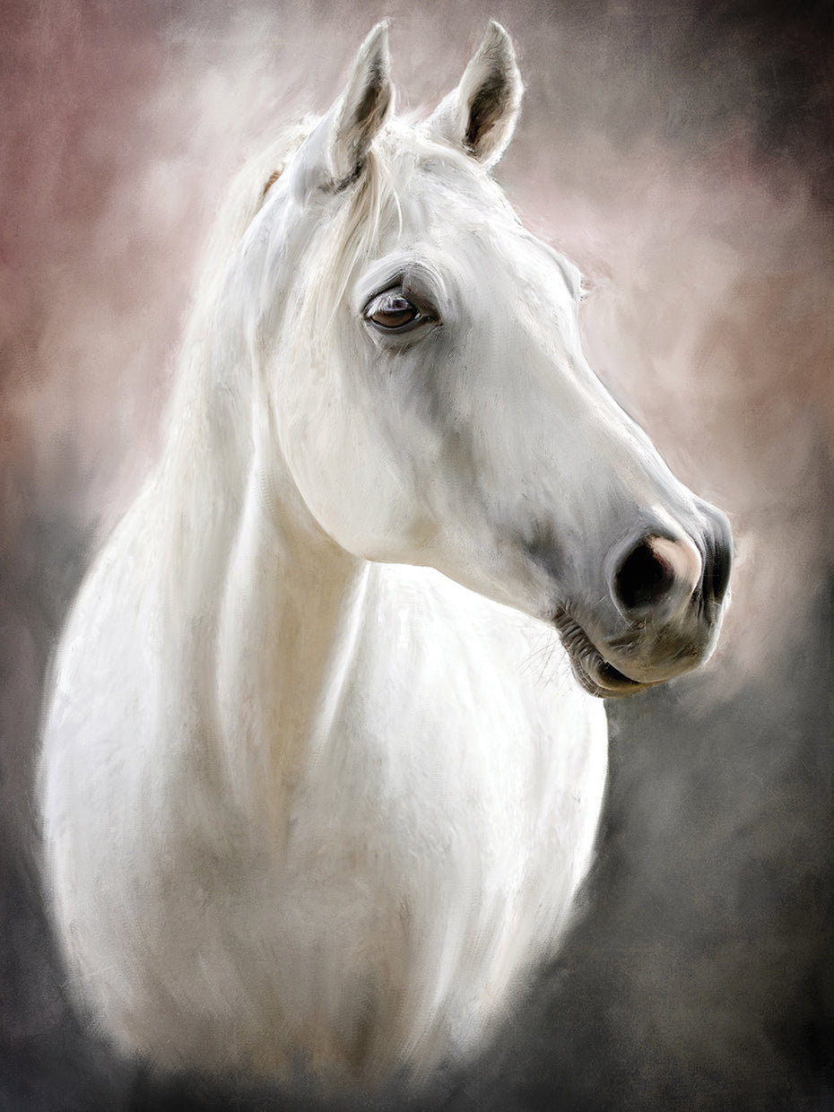 Arte de la lona de Moonstone Mare
