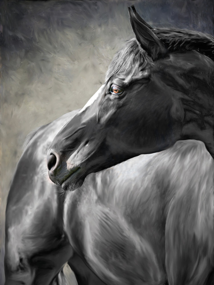 Arte de la lona del semental gris agraciado