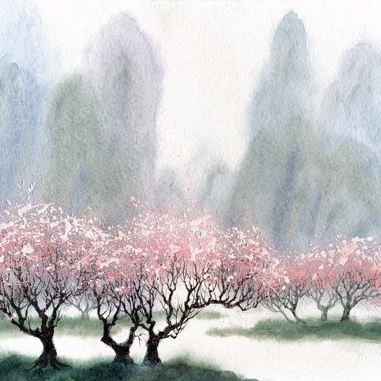 Cherry Blossom Silver Mist