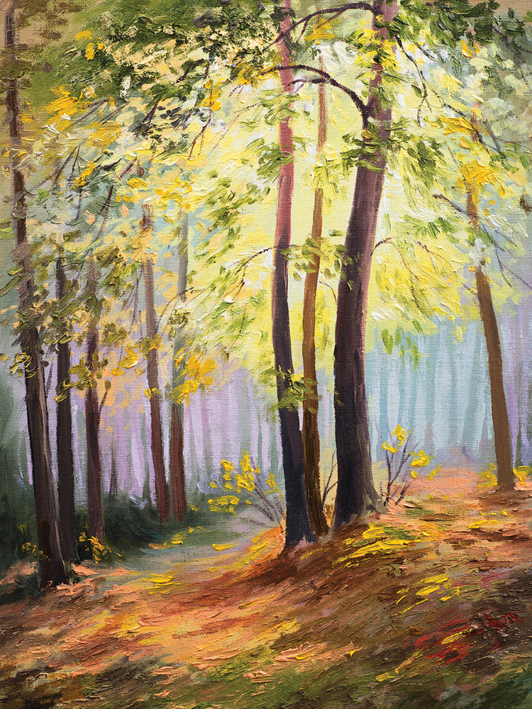 La primavera calienta el lienzo del bosque