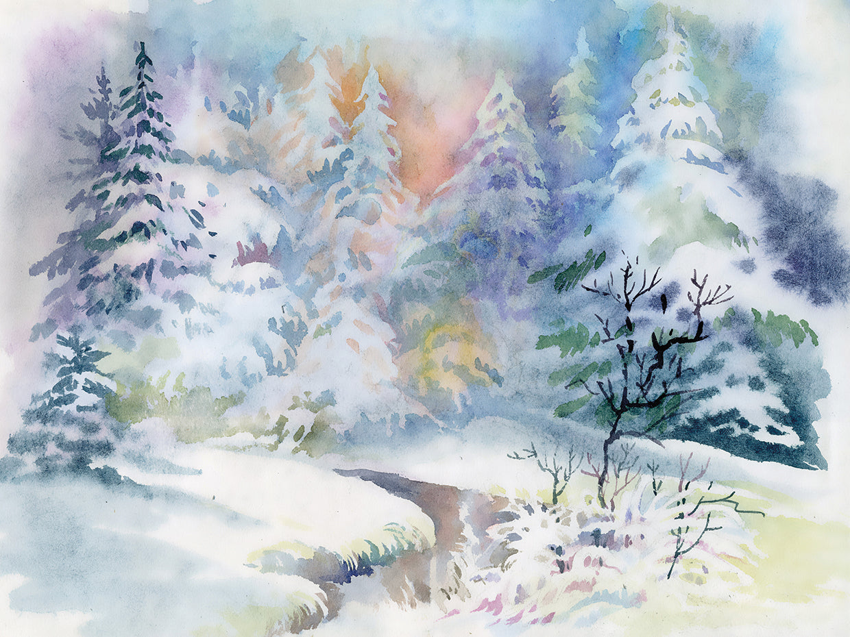 Soft Snowy Evergreens