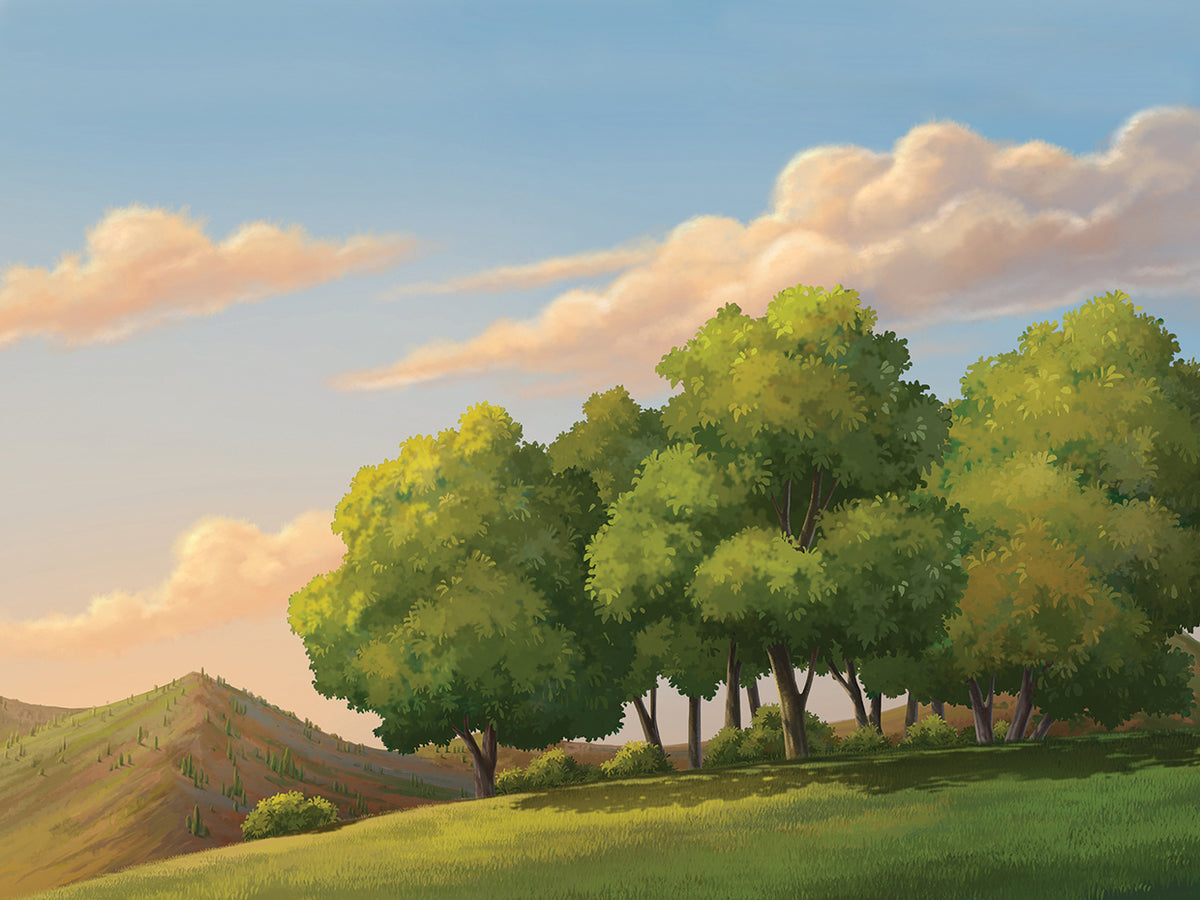 Blue Sky Summer Meadow