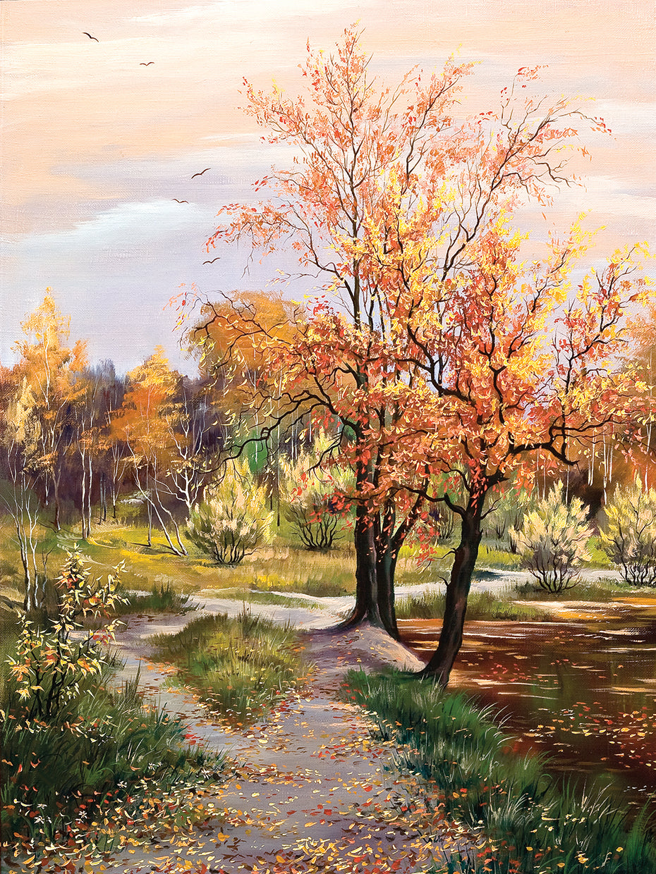 Woodsy Autumn Morning Trail